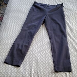 Chic Navy Pixie Pants